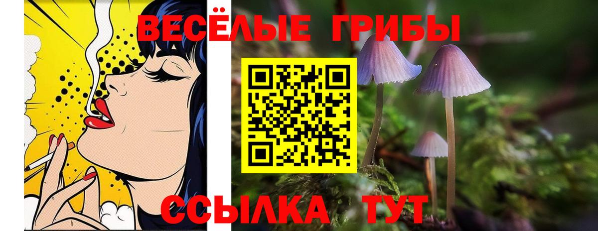 Сургут  Псилоцибиновые грибы MAGIC MUSHROOMS  Вход с VPN 